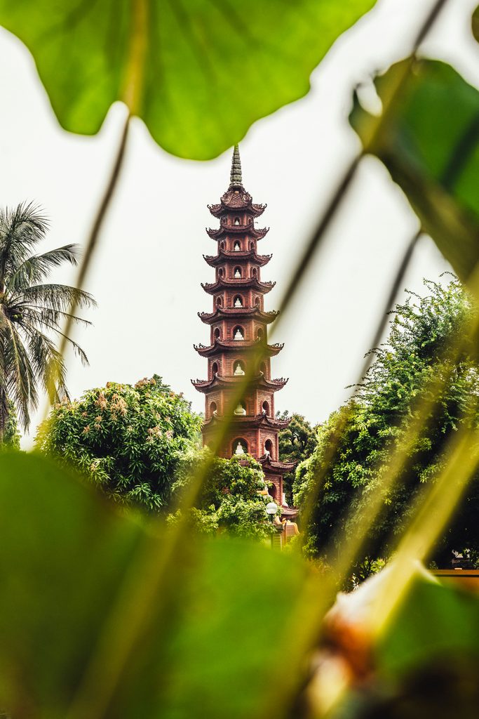 베트남에서 취업·사업한다면 반드시 알아야 할 베트남어 호칭과 예절 | ben koorengevel sju7BXYLhQc unsplash 683x1024
